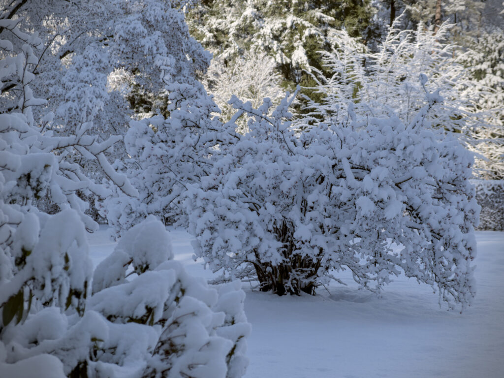 HR_2026-01-03_13-13-58_DSCF9367