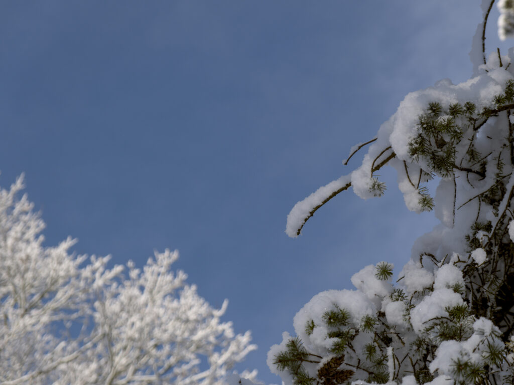 HR_2026-01-03_13-16-51_DSCF9369