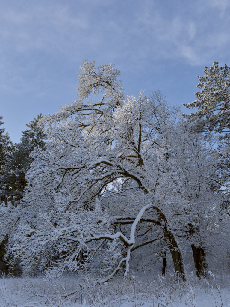 HR_2026-01-03_13-17-41_DSCF9370