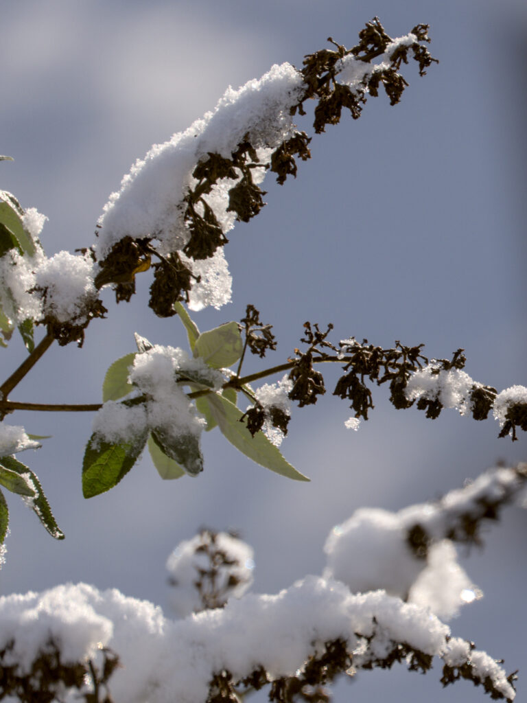 HR_2026-01-03_13-52-06_DSCF9386