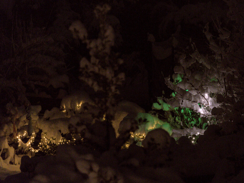 HR_2026-01-03_18-39-02_DSCF9399