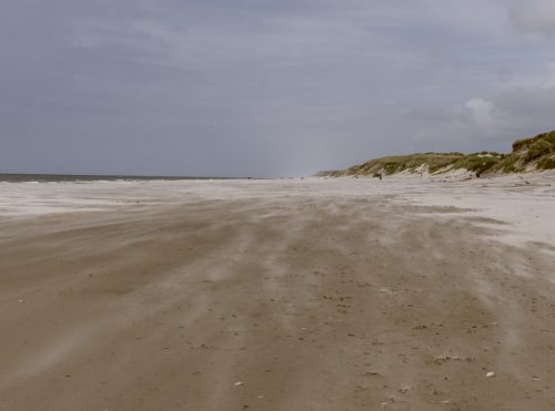Dune!