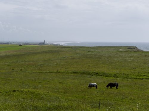 Steilküste