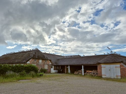 Möwen-Rastplatz