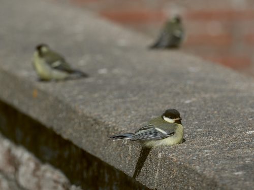 das war ne coole Gang!